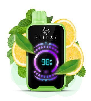 ELF BAR RAYA D2 20 000 Lemon Mint (Лимон мята) 1243 фото