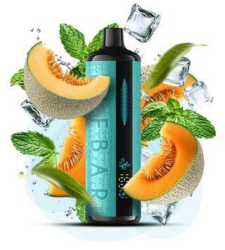 Elf Bar E-Shisha 12000 Melon Mint (Дыня Мята) 3369 фото
