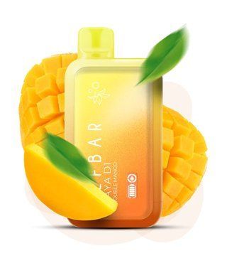 ELF BAR RAYA D1 Double Mango (Двойное Манго) 88 фото